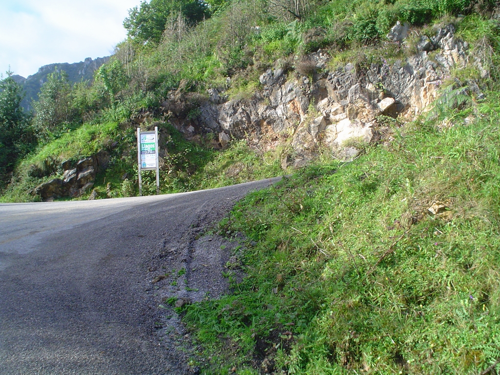 DSC08286.JPG